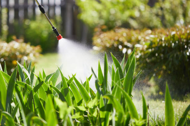 24/7 Emergency Ant Control experts in Kingston, TN